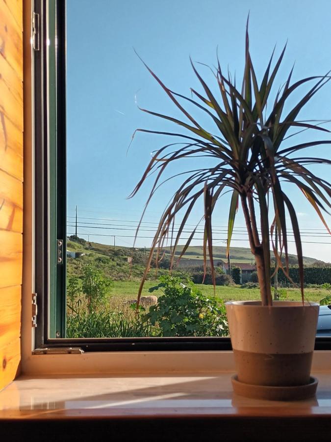 הוילה Raposeira  Roots Cozy House Raposeira מראה חיצוני תמונה
